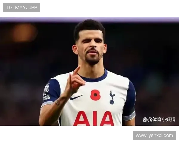 热刺回应球员遭种族歧视 强调不容忍歧视行为